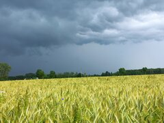 Czarne chmury nad Polską....