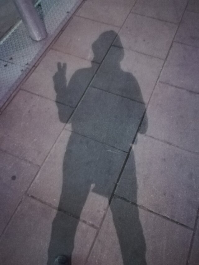 whitevader