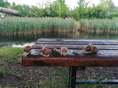 IMG_20200620_190943.jpg