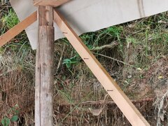 IMG_20200624_113638.jpg