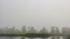 IMG_20200618_060703.jpg