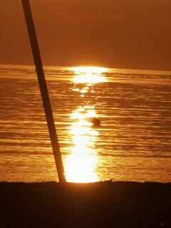 IMG_20200627_045602.jpg