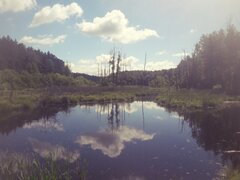 20200630_081149.jpg