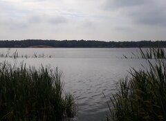 20200629_091714.jpg