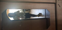 20200630_124614.jpg