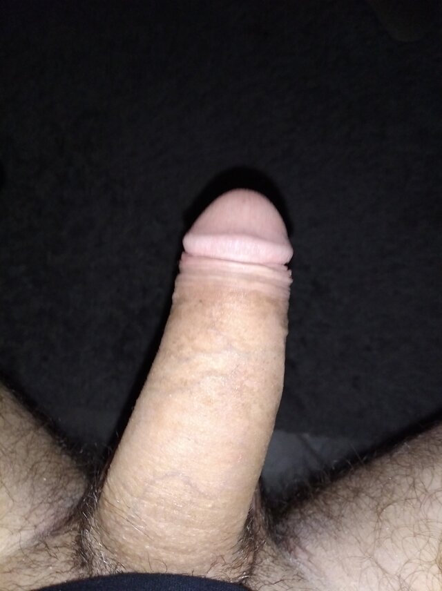 Niedaro
