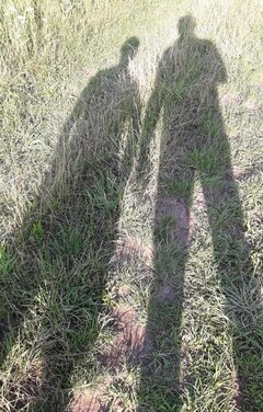 20200702_193153.jpg