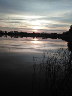 IMG_20200702_203447.jpg