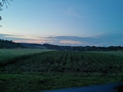 IMG_20200628_212725.jpg