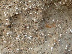 20200626_193158.jpg