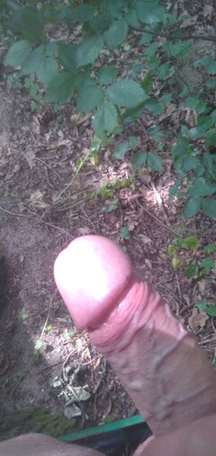 IMG_20200703_144737250.jpg