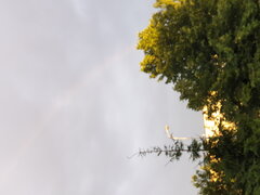 20200701_203802.jpg