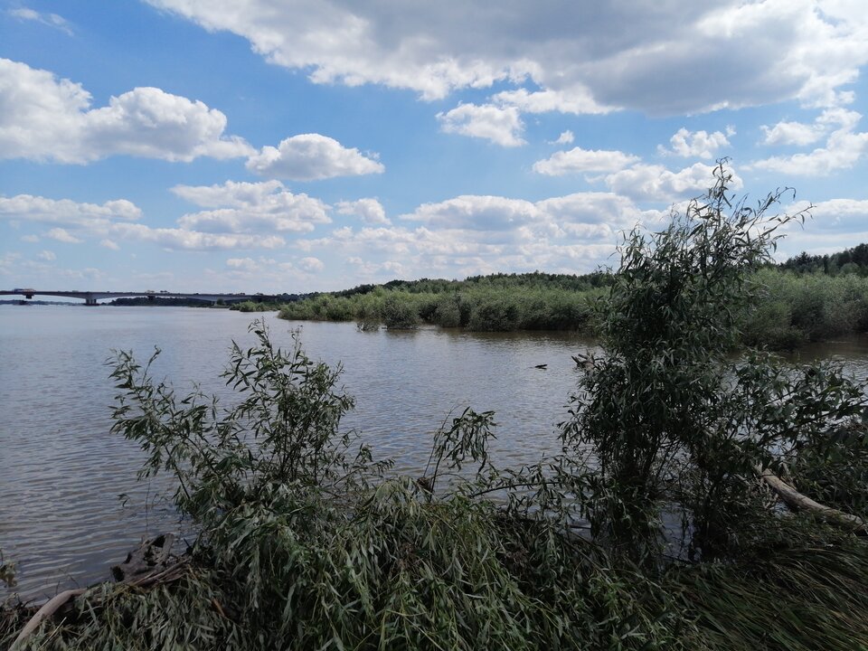 15938649140131165350610341271616.jpg - AndWawa1990