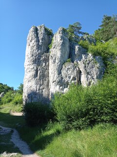 IMG_20200705_162430.jpg
