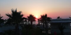 IMG_20200705_202416.jpg