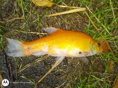 IMG_20200706_173055311.jpg