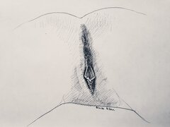 Art. No. 27