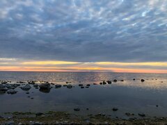20200607_232543.jpg