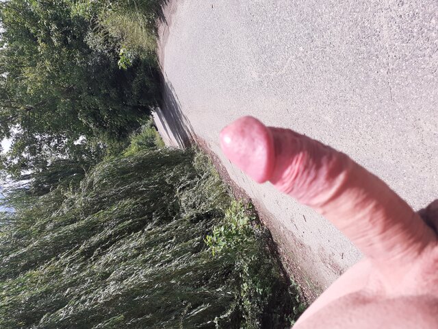 Wilczek2