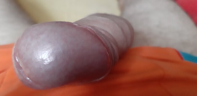 erni7878