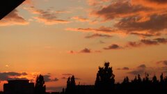 IMG_20200708_210021.jpg