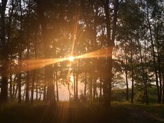 IMG_20190604_213227_010.jpg