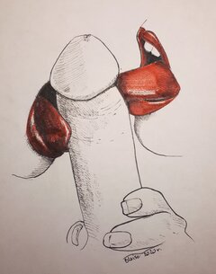 Art. No. 29
