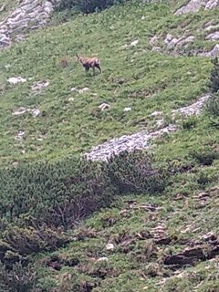 IMG_20200713_170144014_BURST000_COVER_TOP.jpg