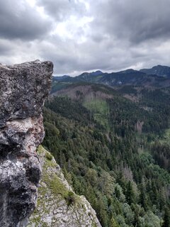 IMG_20200714_141943104_HDR.jpg