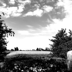 20200630_080900.jpg