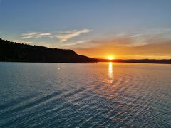IMG_20200708_202956.jpg