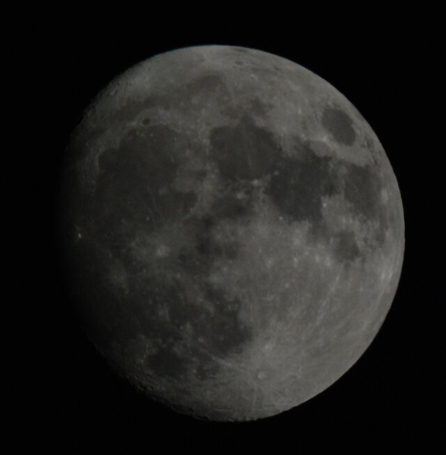 DarkMoonlight