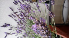 20200717_185822.jpg