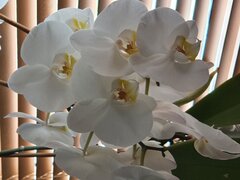 20200718_133947.jpg