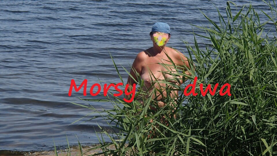 Rewa. - Morsy_dwa