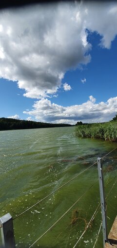 20200722_145445.jpg