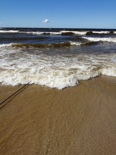IMG_20200722_151628.jpg