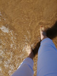 IMG_20200722_151716.jpg