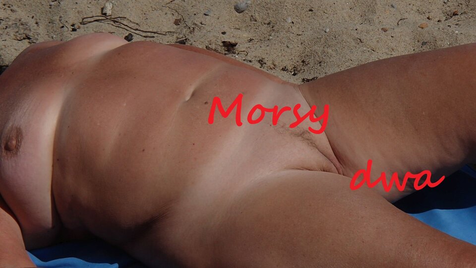 Nad morzem. - Morsy_dwa