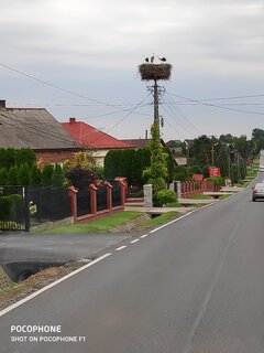 IMG_20200723_153329.jpg
