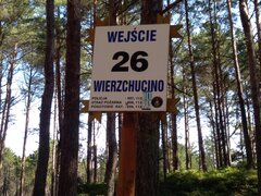 IMG_20200719_100834.jpg