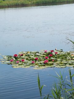 IMG_20200724_110555.jpg