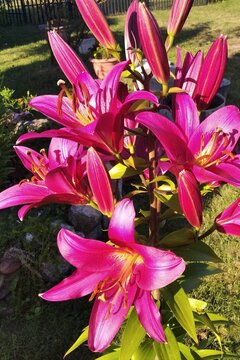 IMG_20200724_191623.jpg