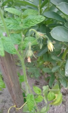 received_622078638445659.jpeg