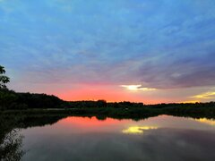 IMG_20200725_091446.jpg