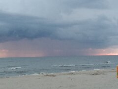 IMG_20200723_044649391.jpg