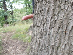 DSCN5854.JPG