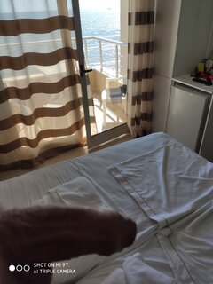 IMG_20200726_153940.jpg