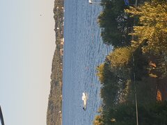 20200728_192625.jpg
