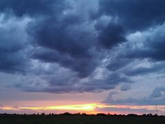 IMG_20200728_205935.jpg